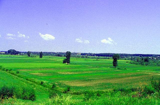 Fonduri UE pentru pierderile agricultorilor, incepand din 2014