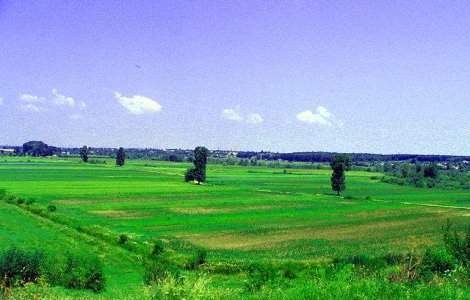 Fonduri UE pentru pierderile agricultorilor