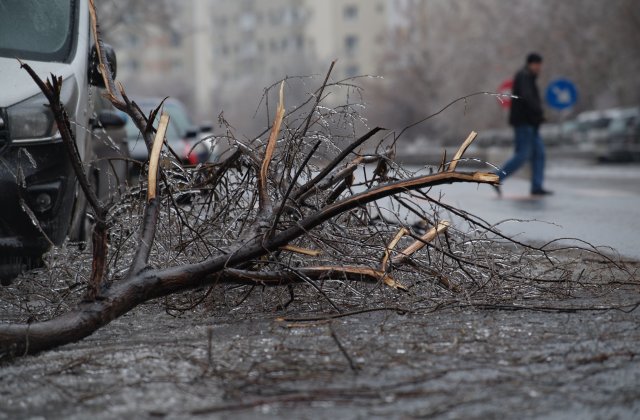 DSU: 14 județe și Capitala, afectate de vremea nefavorabilă; în București - 159 de copaci căzuți, 43 de autoturisme avariate