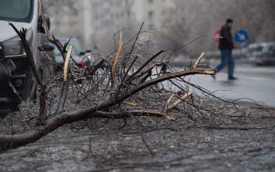 DSU: 14 județe și Capitala,...