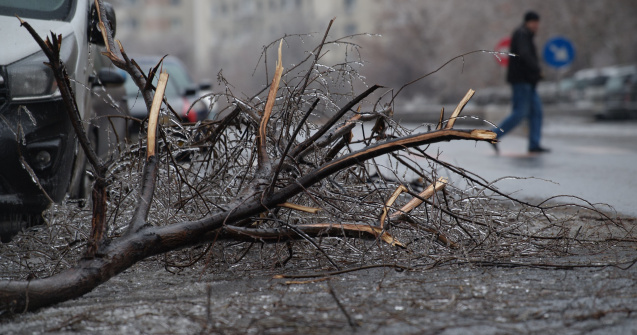 DUS: 14 județe și Capitala au fost afectate de vremea nefavorabilă