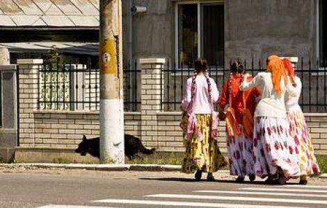 Mai multe ONG-uri sar in apararea etniei rome: Demisia lui Baconschi vrem!