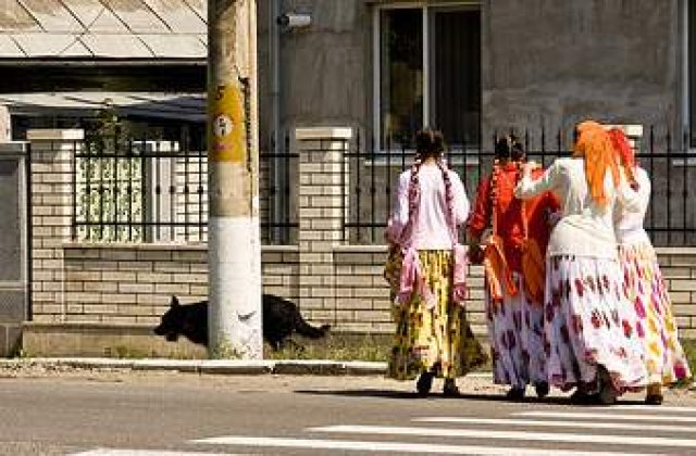 Mai multe ONG-uri sar in apararea etniei rome: Demisia lui Baconschi vrem!