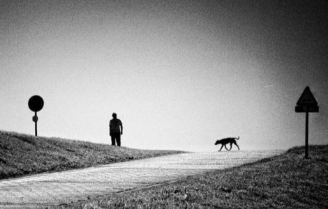 Studiu: Pe cine ai salva de la moarte, un strain sau catelul tau?