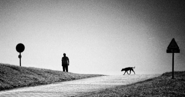 Studiu: Pe cine ai salva de la moarte, un strain sau catelul tau?