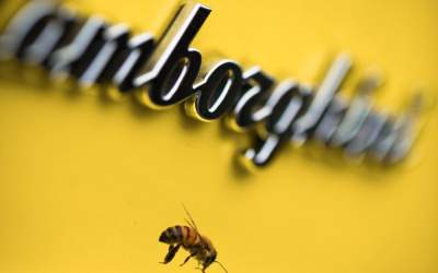 Ce legătură există între...