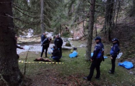 Zeci de câini morți găsiți în Parcul Național Domogled - Valea Cernei