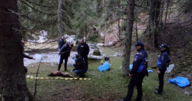 Zeci de câini morți găsiți în Parcul Național Domogled - Valea Cernei