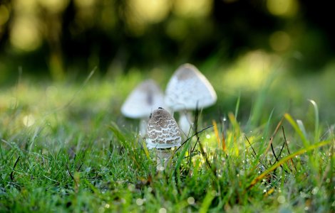 Prognoza meteo | Luni, 24 mai 2021. Temperaturile înregistrate în fiecare oraș din țară