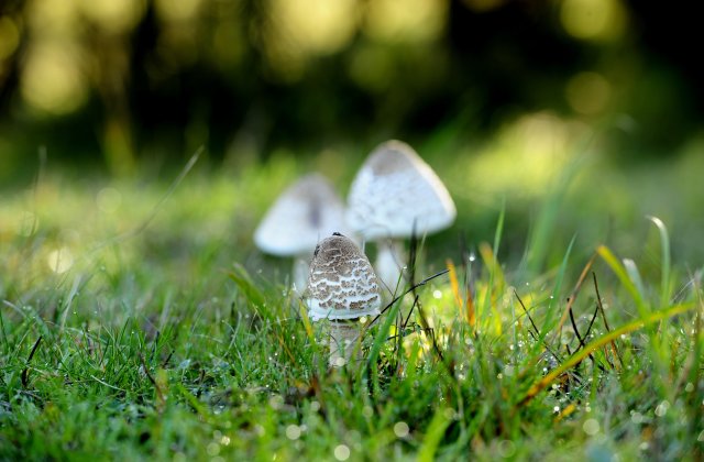 Prognoza meteo | Luni, 24 mai 2021. Temperaturile înregistrate în fiecare oraș din țară