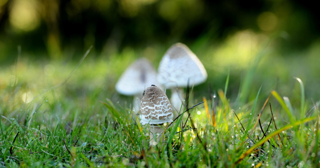 Temperaturile care se vor înregistra luni, 24 mai 2021, în fiecare oraș din țară