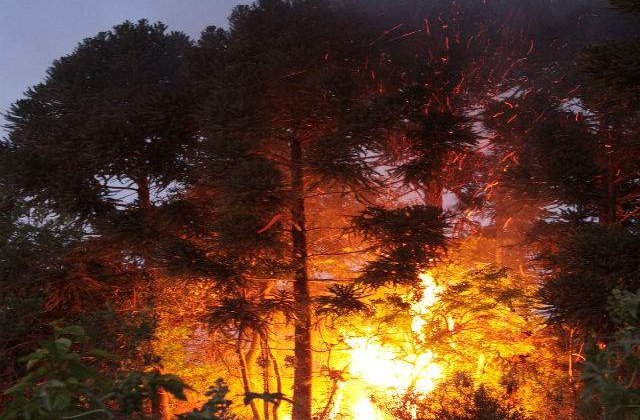Cod rosu de incendii de padure in Bulgaria