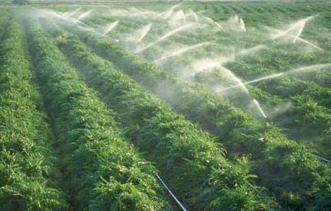 Guvernul vrea sa stimuleze investitiile in irigatii