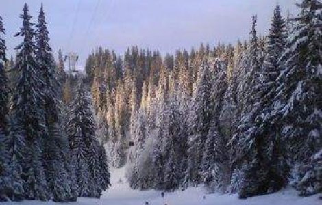 Partie de schi pe Varful Cozia de 14 mil. euro