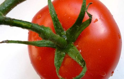 Rosiile romanesti ar putea sa dispara