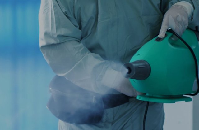 Apeleaza la o firma deratizare Bucuresti daca ai probleme cu daunatorii