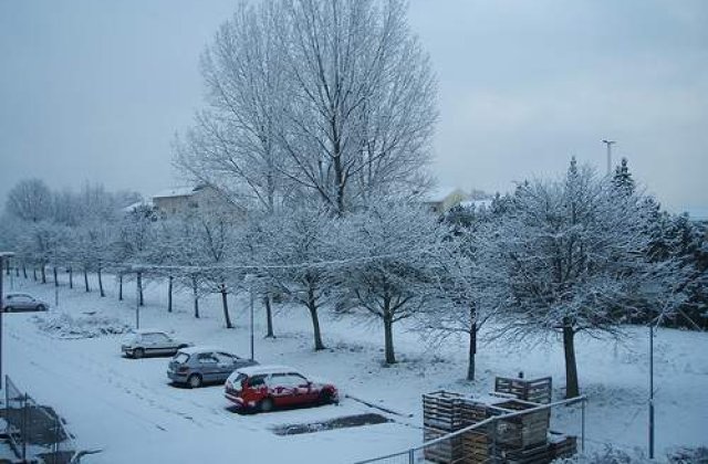 Suedia, in haos din cauza ninsorilor si a frigului
