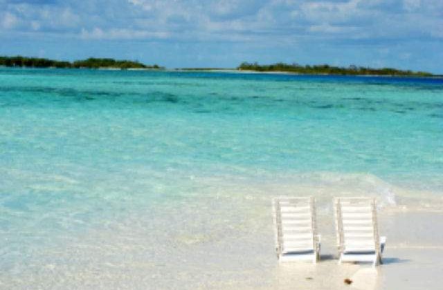 Cele mai scumpe vacante cumparate de romani