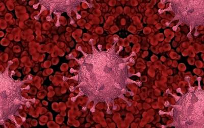 Coronavirus România: 158...