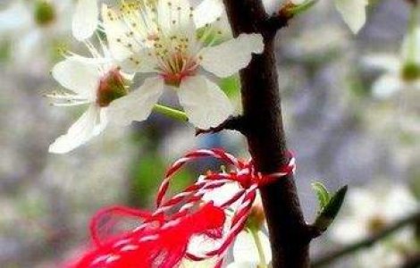 Targuri de Martisor in Capitala