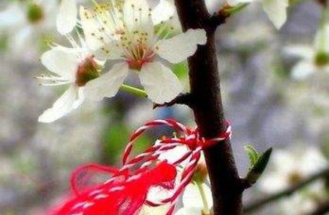 Targuri de Martisor in Capitala