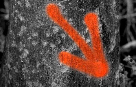 Comertul mondial a inregistrat in 2009 cea mai mare scadere de dupa razboi