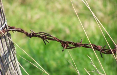 Acordul privind micul trafic de frontiera dintre Romania si Moldova a intrat in vigoare