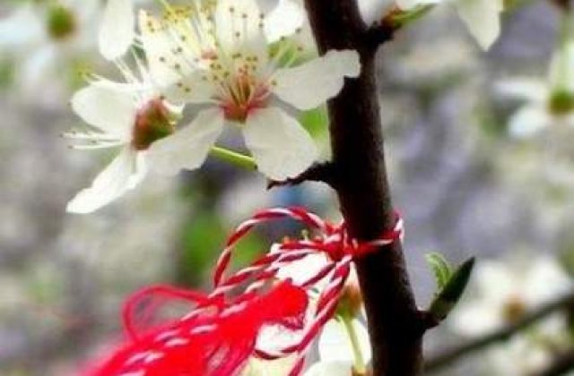 BCR Asigurari si Politia Rutiera, impreuna pentru femei, de Martisor