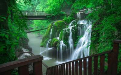 Reacția lui Marcel Vela, după...