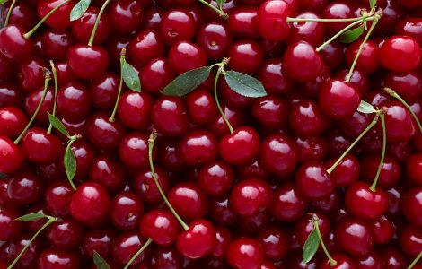 Circa 900 de kilograme de cireșe au fost furate dintr-o livadă din Germania