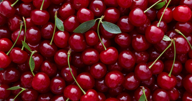 Circa 900 de kilograme de cireșe au fost furate dintr-o livadă din Germania