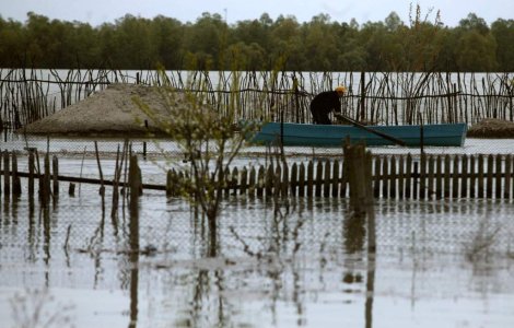 Cod portocaliu de inundatii in patru judete din bazinul Dunarii