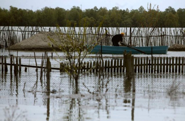 Cod portocaliu de inundatii in patru judete din bazinul Dunarii