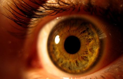 Bucuresti: Un vierme de 10 cm a fost scos din ochiul unui barbat