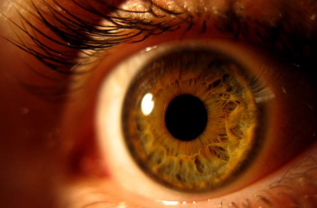 Bucuresti: Un vierme de 10 cm a fost scos din ochiul unui barbat