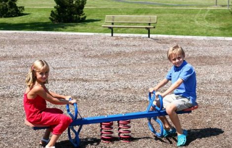 Cresterea alocatiilor, RESPINSA de Senat