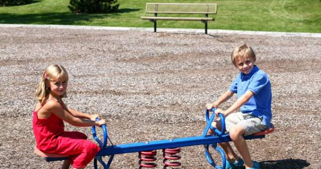 Cresterea alocatiilor, RESPINSA de Senat