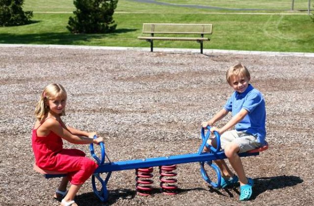 Cresterea alocatiilor, RESPINSA de Senat