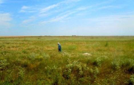 Agricultura a aparut in urma impactului unui meteorit