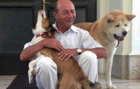 Basescu: Cainii fara stapan sa fie EUTANASIATI