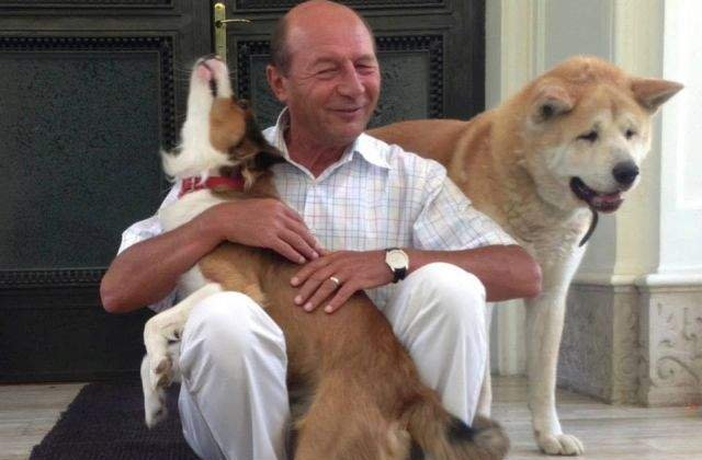 Basescu se implica in problema maidanezilor: Cainii fara stapan sa fie EUTANASIATI