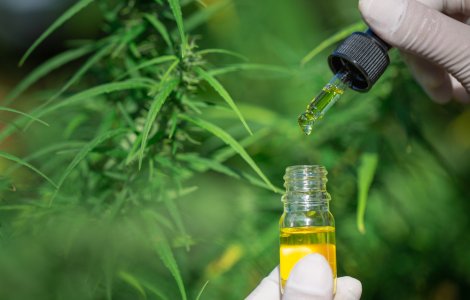 Top  Uleiul de canabis, cel mai bun tratament împotriva anxietății