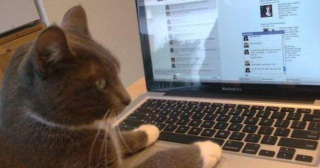 Facebook inchide 83 milione de conturi