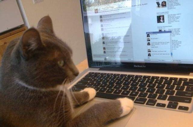 Facebook inchide 83 milione de conturi