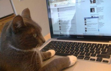 Facebook inchide 83 milione de conturi