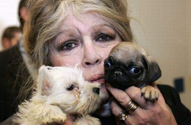 Brigitte Bardot s-a intors: Scrisoare deschisa pentru Traian Basescu, despre maidanezi