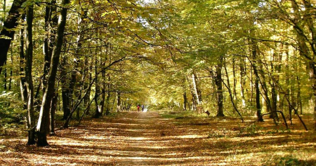  Top  TOP 10 destinatii de toamna din Romania