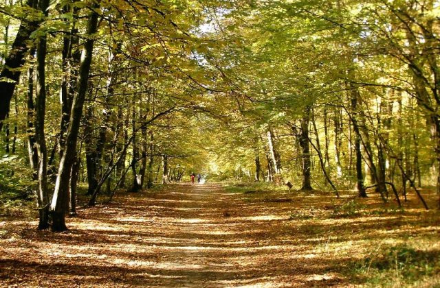 TOP 10 destinatii de toamna din Romania