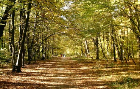  Top  TOP 10 destinatii de toamna din Romania