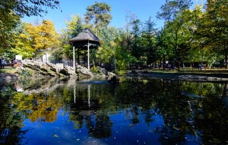 Radu Tudor a publicat imagini cu șobolani care înoată în lacurile din București